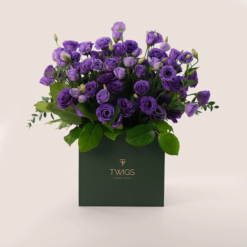 LISIANTHUS new